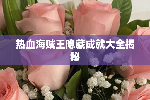 热血海贼王隐藏成就大全揭秘图片