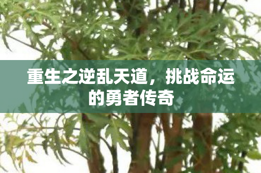 挑战命运的勇者传奇图片