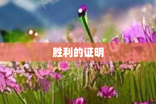 胜利的证明图片