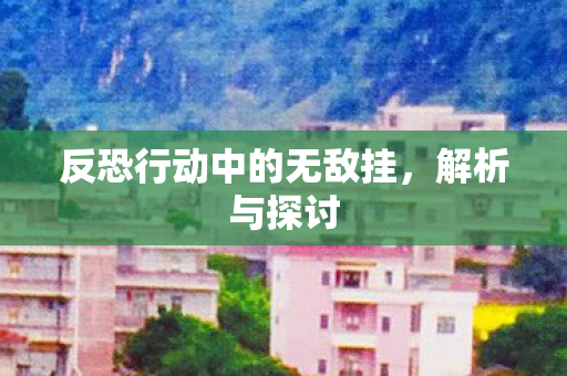 反恐行动中的无敌挂图片