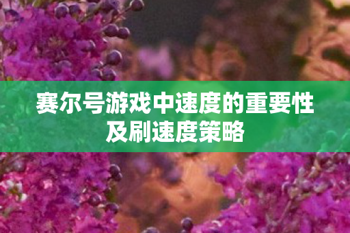 赛尔号游戏中速度的重要性及刷速度策略图片