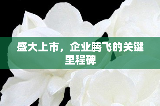 企业腾飞的关键里程碑图片