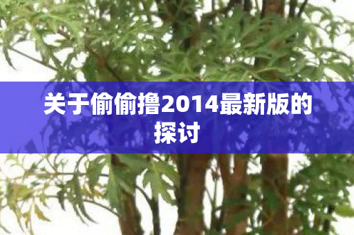 关于偷偷撸2014最新版的探讨图片