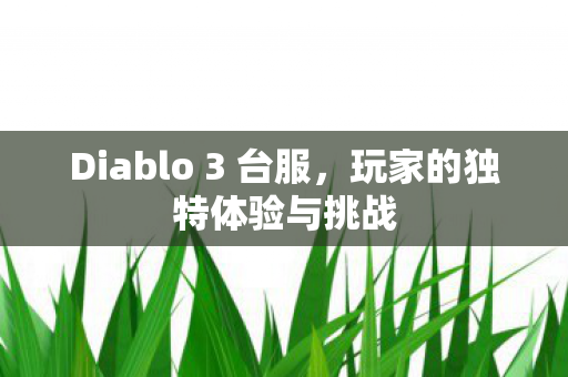 Diablo 3 台服图片