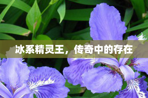 传奇中的存在图片