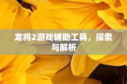 龙将2游戏辅助工具图片