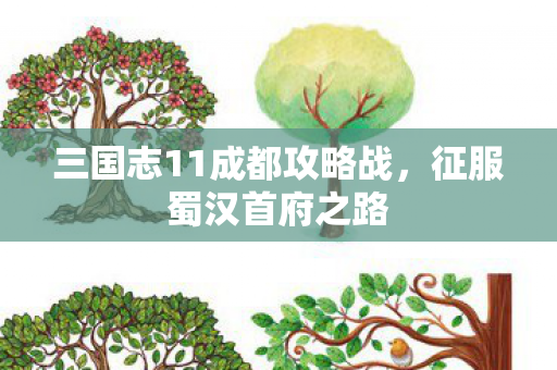 三国志11成都攻略战图片