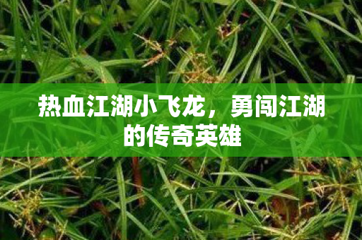 勇闯江湖的传奇英雄图片