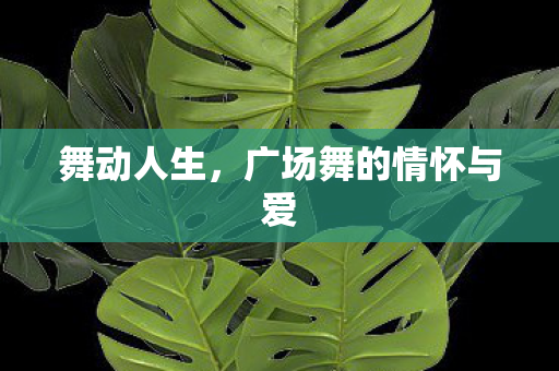 广场舞的情怀与爱图片
