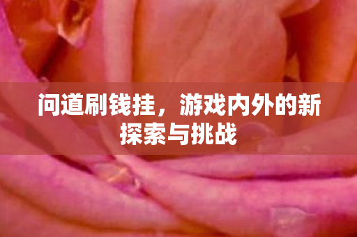 游戏内外的新探索与挑战图片
