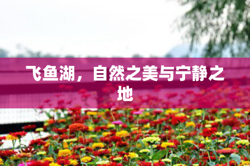 自然之美与宁静之地图片