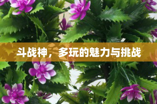 斗战神,多玩的魅力与挑战 斗战神,多玩的魅力与挑战