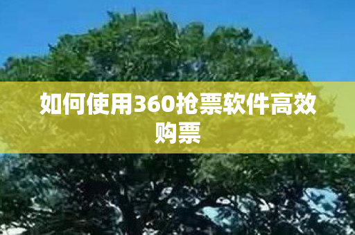 如何使用360抢票软件高效购票