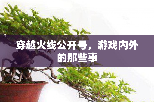 穿越火线公开号，游戏内外的那些事