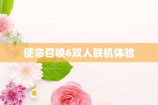 使命召唤6双人联机体验图片