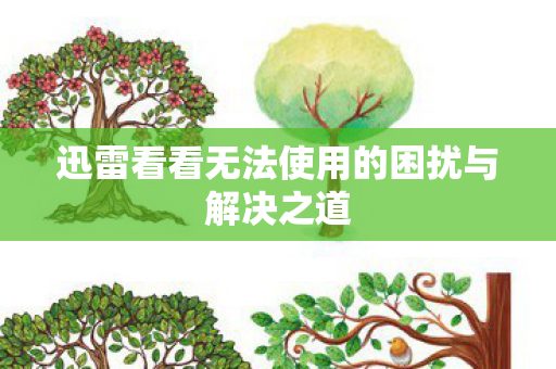 迅雷看看无法使用的困扰与解决之道图片