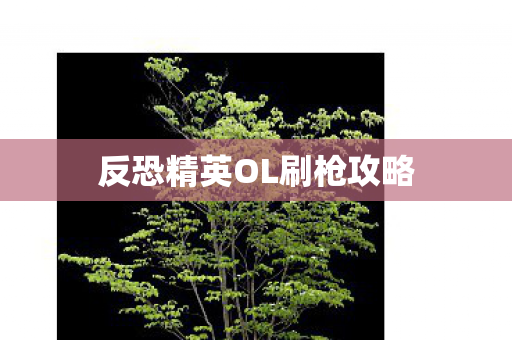 反恐精英OL刷枪攻略图片