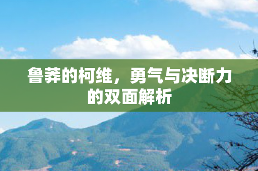 鲁莽的柯维,勇气与决断力的双面解析 鲁莽的柯维,勇气与决断力的双面解析