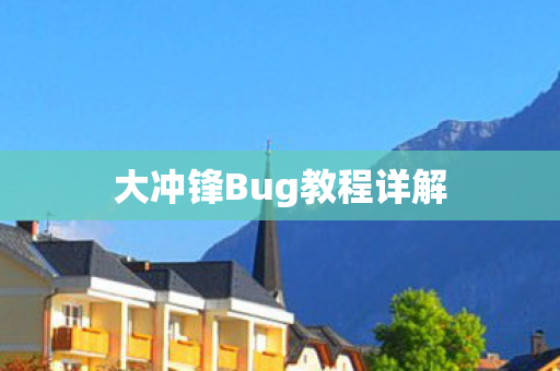 大冲锋Bug教程详解 大冲锋Bug教程详解