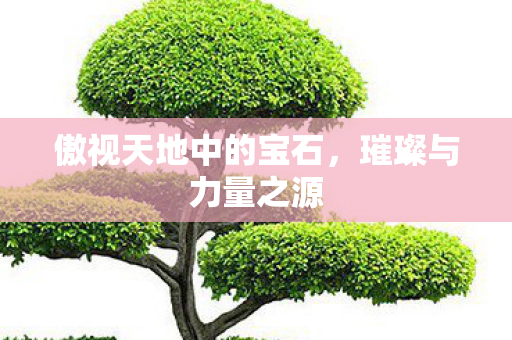 傲视天地中的宝石,璀璨与力量之源 傲视天地中的宝石,璀璨与力量之源
