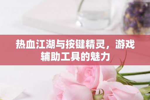 热血江湖与按键精灵图片