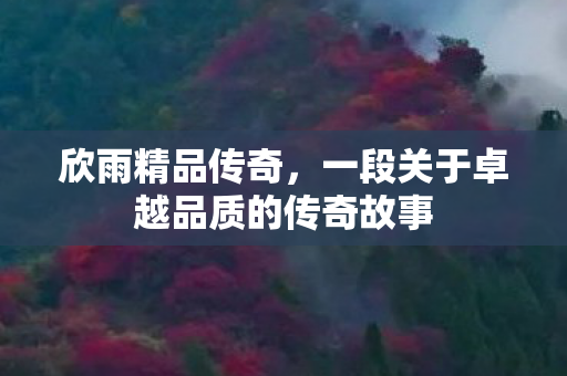 一段关于卓越品质的传奇故事图片