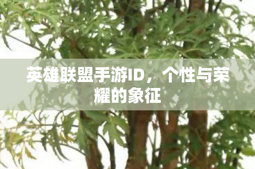 英雄联盟手游ID图片