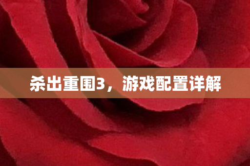 游戏配置详解图片