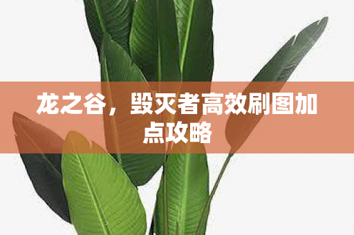 毁灭者高效刷图加点攻略图片