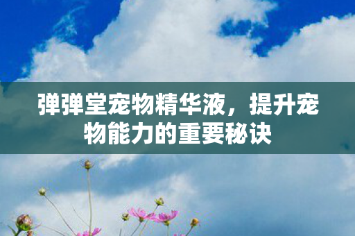 提升宠物能力的重要秘诀图片