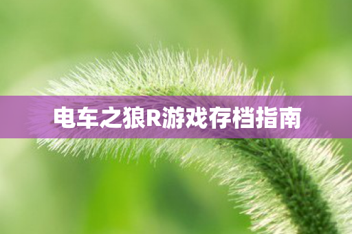 电车之狼R游戏存档指南图片