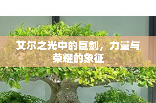 艾尔之光中的巨剑图片