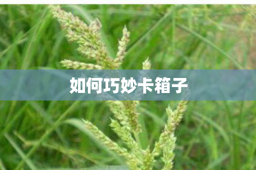 如何巧妙卡箱子图片