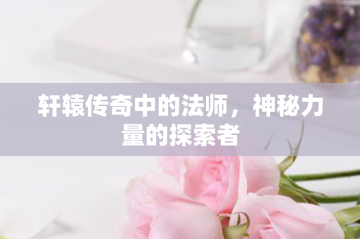 轩辕传奇中的法师图片