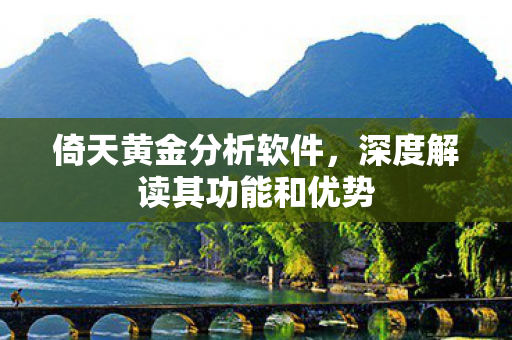 深度解读其功能和优势图片
