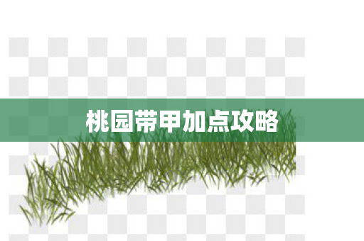 桃园带甲加点攻略图片