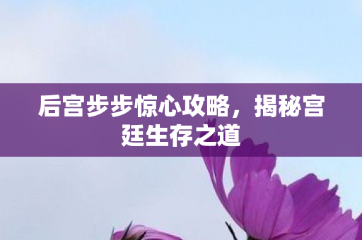后宫步步惊心攻略图片
