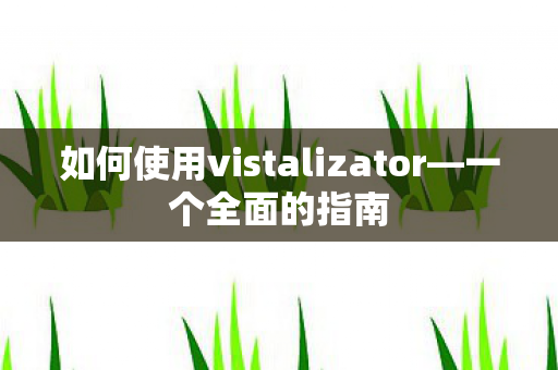 如何使用vistalizator图片