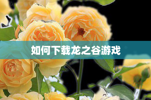 如何下载龙之谷游戏图片