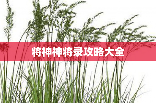 将神神将录攻略大全图片