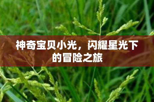 闪耀星光下的冒险之旅图片