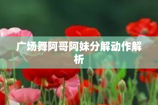 广场舞阿哥阿妹分解动作解析图片