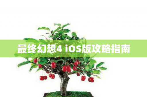 最终幻想4 iOS版攻略指南图片