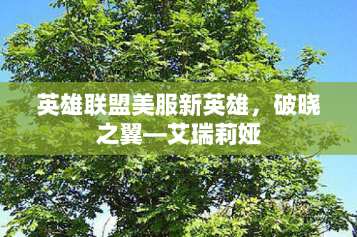 英雄联盟美服新英雄图片