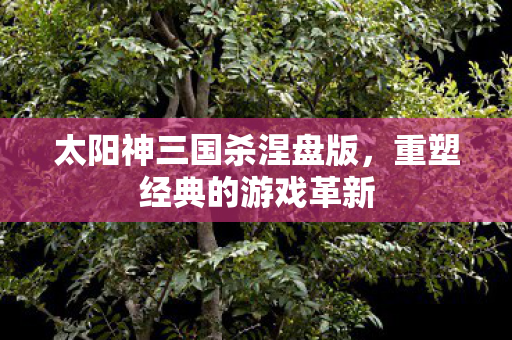 太阳神三国杀涅盘版图片