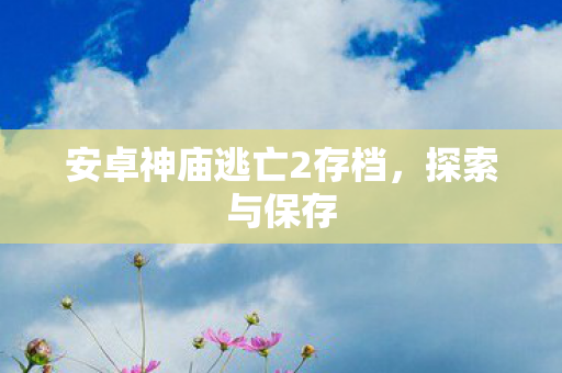 安卓神庙逃亡2存档图片