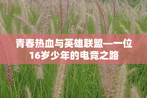 一位16岁少年的电竞之路图片