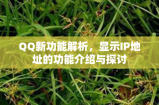 显示IP地址的功能介绍与探讨图片