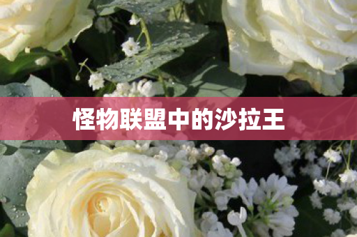 怪物联盟中的沙拉王 怪物联盟中的沙拉王