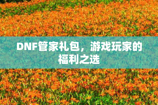 游戏玩家的福利之选图片